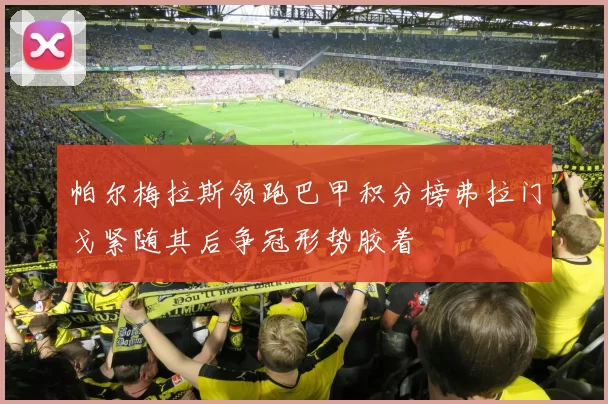 帕尔梅拉斯领跑巴甲积分榜弗拉门戈紧随其后争冠形势胶着