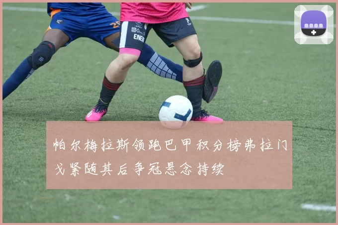 帕尔梅拉斯领跑巴甲积分榜弗拉门戈紧随其后争冠悬念持续