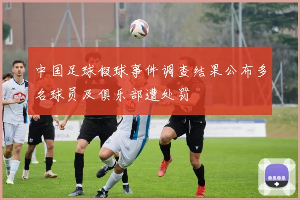 中国足球假球事件调查结果公布多名球员及俱乐部遭处罚
