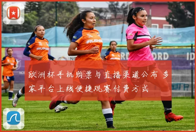 欧洲杯手机购票与直播渠道公布 多家平台上线便捷观赛付费方式