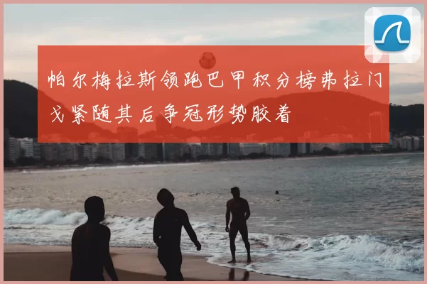 帕尔梅拉斯领跑巴甲积分榜弗拉门戈紧随其后争冠形势胶着